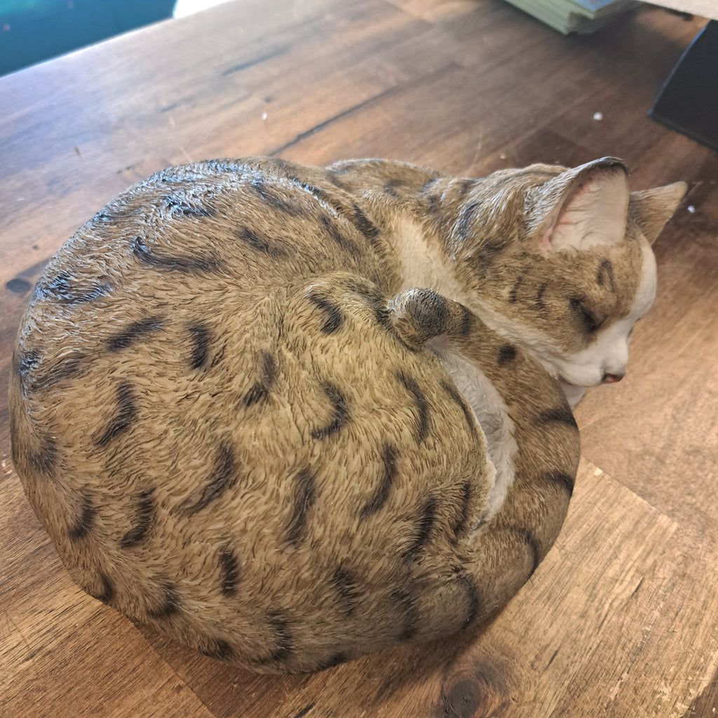 kat sover Realistisk kattefigur – naturtro kat statue til haven