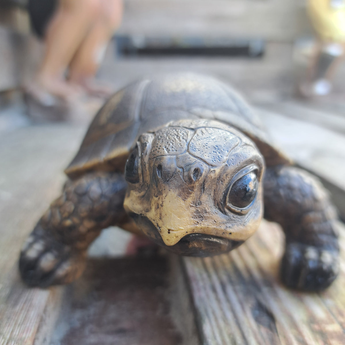 Lille skildpadde– stilfuld detalje til hjem og have