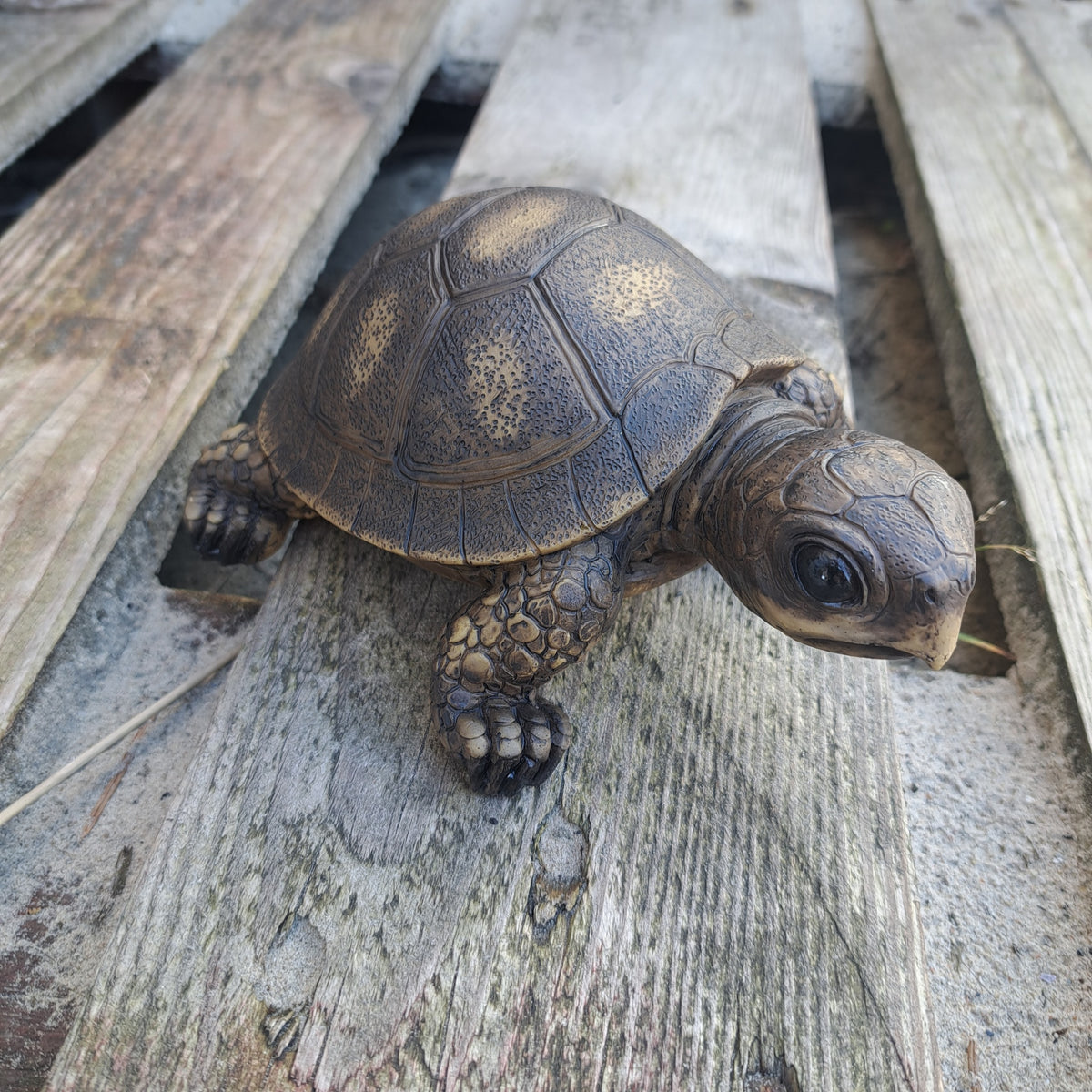 Lille skildpadde– stilfuld detalje til hjem og have