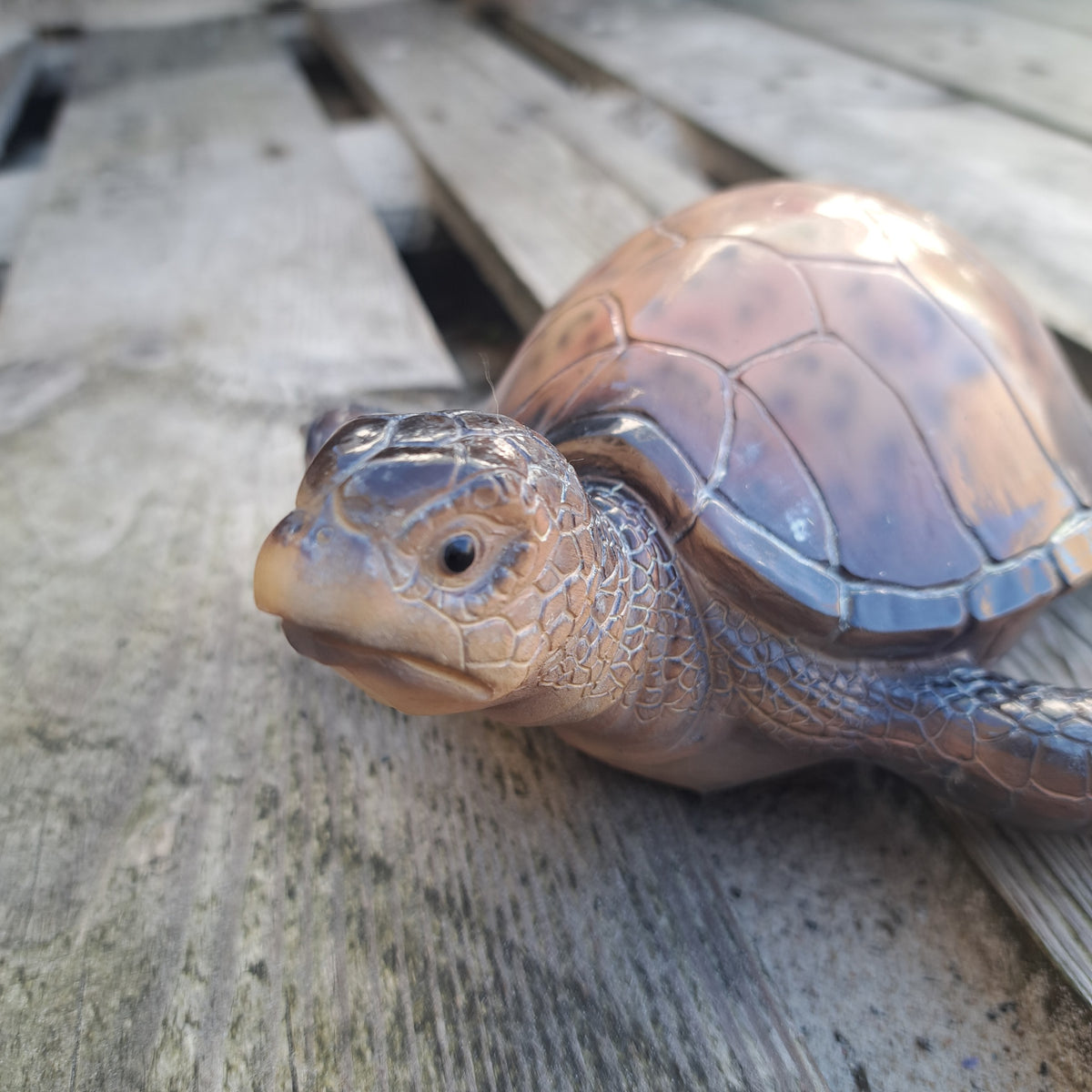 Vandskildpadde– elegant og iøjnefaldende dekoration til hjem og have